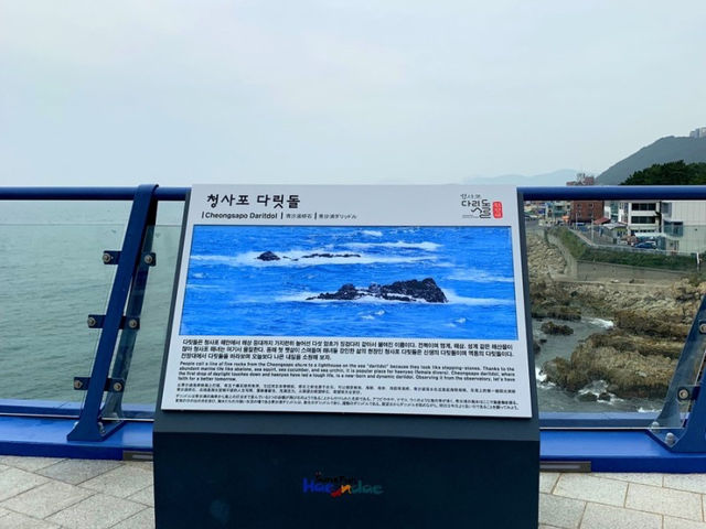 부산 청사포 투명 다리가? “청사포 다릿돌전망대”🌁