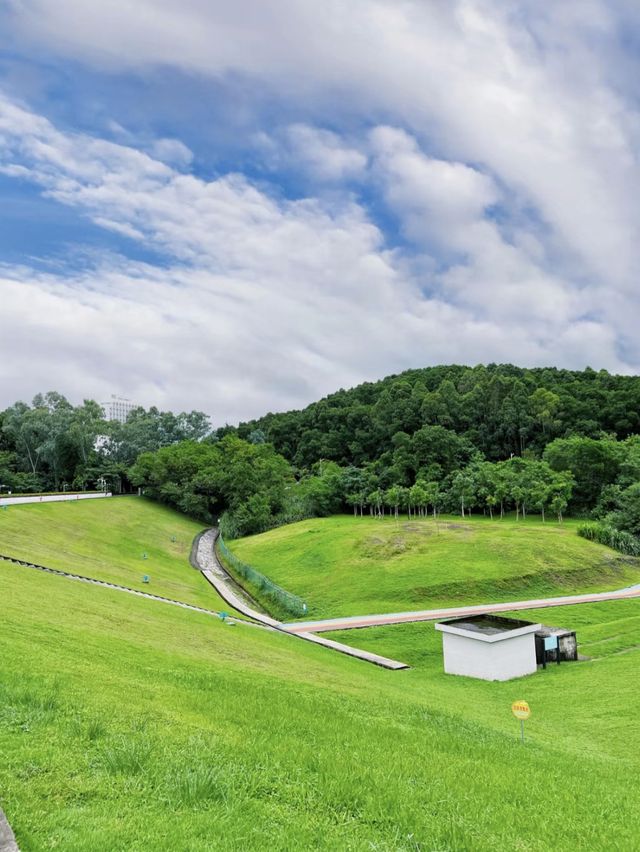 大運自然公園～與水鴨共度野餐樂趣🌳🦆🧺