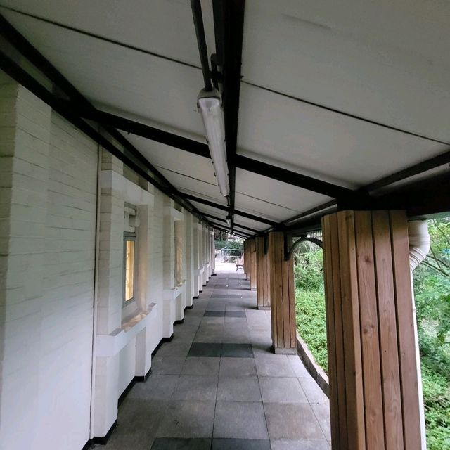 訊號山花園 - 鬧市中既寧靜花園