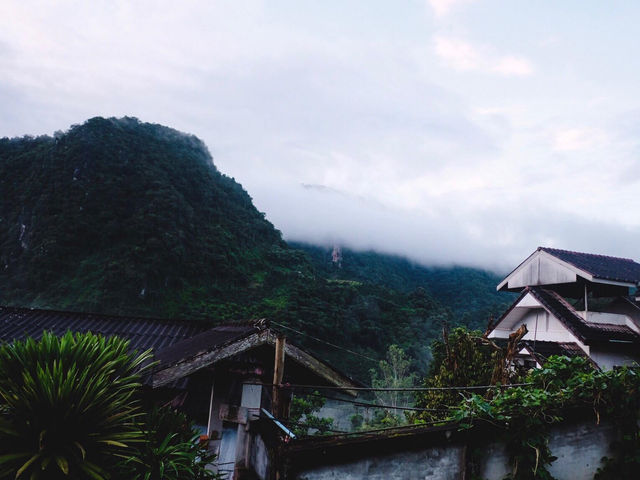 ภูฟ้าซาเจ๊ะ ดอยผาหมี จ.เชียงราย ⛰️