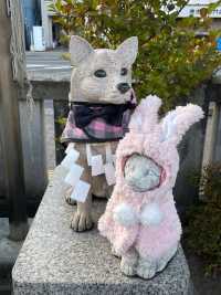 【栃木県/今泉八坂神社】2023年行って良かった！栃木県の神社④