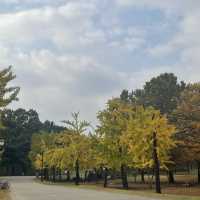 Worldcup Park -Sky Park is a must in Autumn