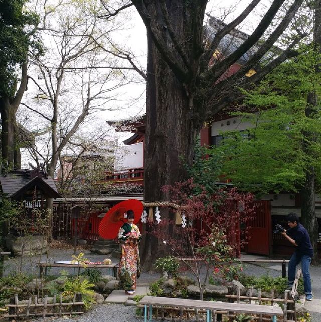 賞櫻 賞景 賞文化 東京近郊秩父神社