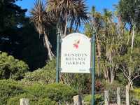 Dunedin Botanic Garden 但尼丁市區植物園，野餐散步好地方