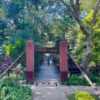 สวนรุกขชาติมวกเหล็ก Muak Lek Arboretum 