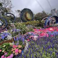 春日限定，花迷值得一去～維多利亞公園花卉展🌸