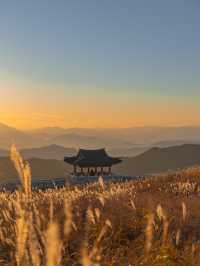 양털로 뒤덮인 것 같은 황매산🐑
