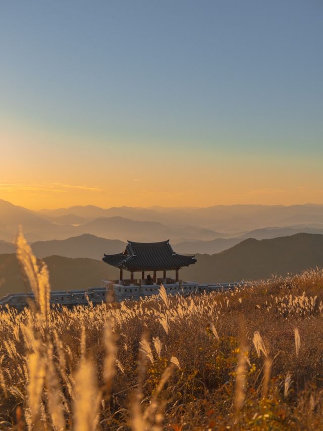양털로 뒤덮인 것 같은 황매산🐑
