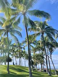 하와이는 와이키키만 유명한 게 아니야〰코올리나 비치파크🌴🍃