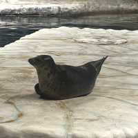 海洋公園：北極之旅