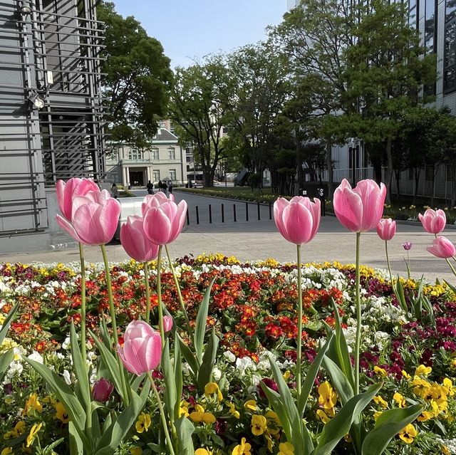 【福岡】貴賓館前はお花に包まれていました