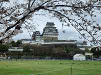 Himeji Castle and its Gardens 🏯