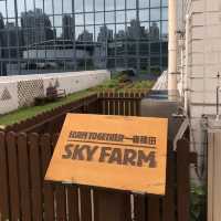 FARM TOGETHER-SKY FARM