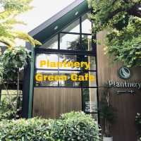 Plantnery Green Cafe : คาเฟ่สไตล์ธรรมชาติ