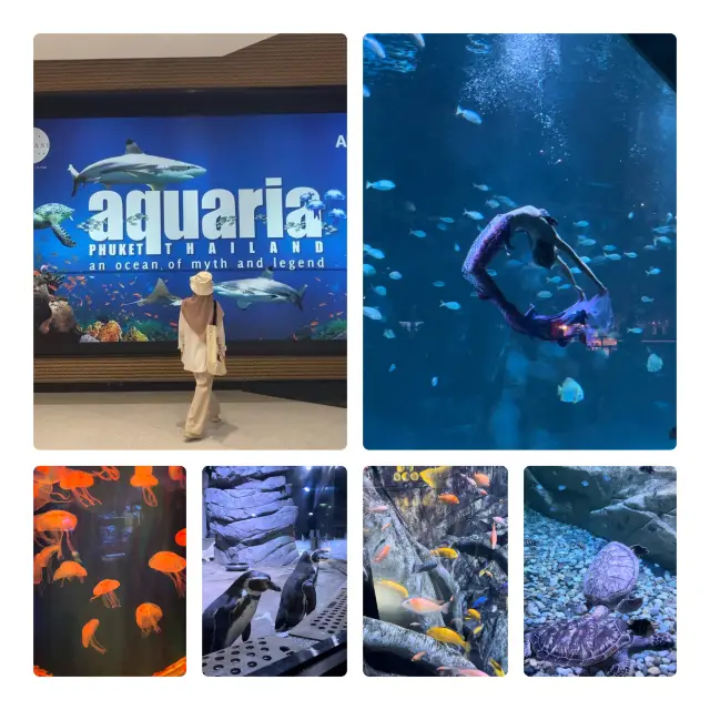 Aquaria Phuket 