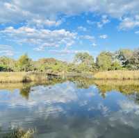 澳洲墨爾本神隱的河口湖公園