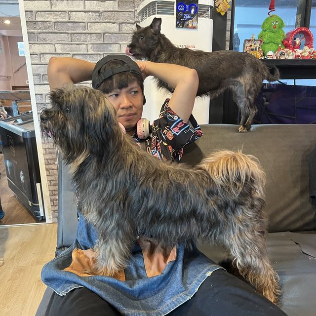 กอดน้องหมา เล่นน้องแมว กินของอร่อยแถวทวีวัฒนา