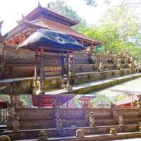 Wandering in Bali Monkey Forest