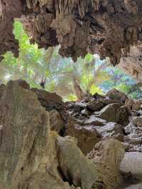 สถานที่ท่องเที่ยวแห่งใหม่ ป่าดึกดำบรรพ์