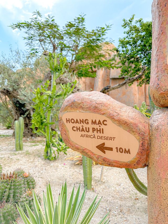 선인장 마을 캑티아일랜드🏜️🌵