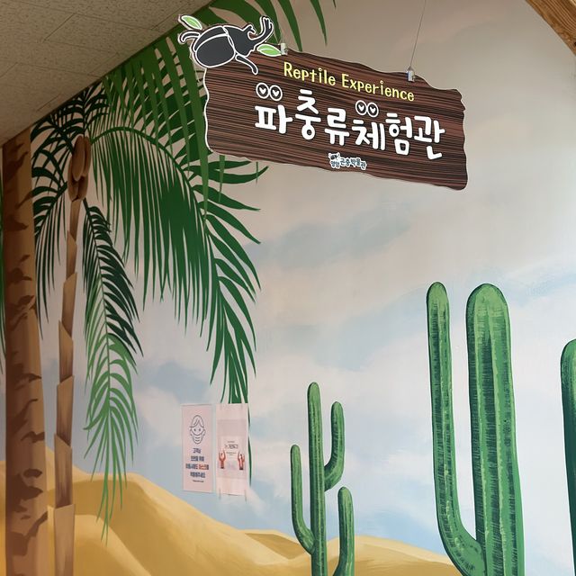 파충류를 만져 볼수 있는 영암 곤충박물관😄