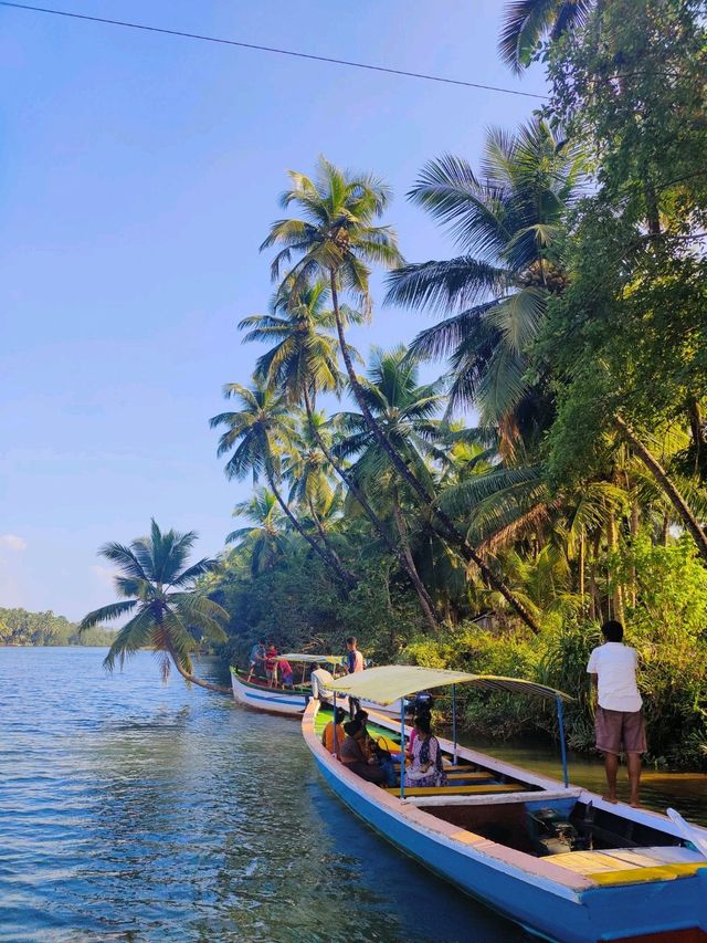 The nearest backwaters to Bengaluru 😍 