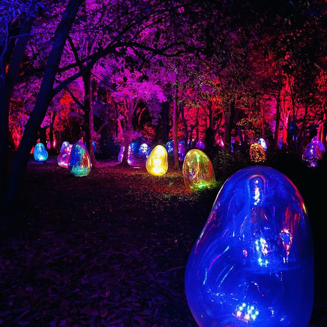 【超幻想的✨】大阪の自然アートが楽しめる癒しスポット！