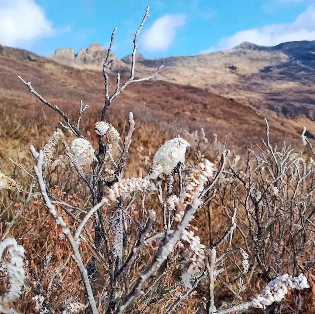 Mountain climbing in Putao 🧊 🏔️ ❄️ 