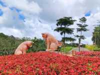 Refresh Your Mind at Fresh Garden