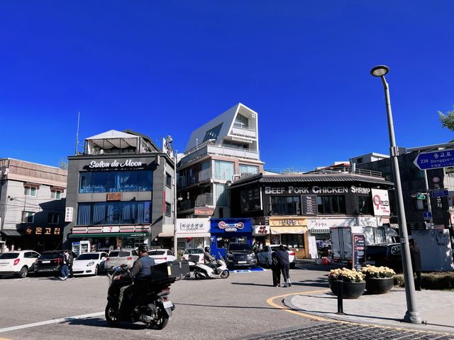 ใบไม้เปลี่ยนสีที่ GYEONGUI LINE FOREST PARK