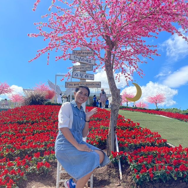 🌼🌼พักกายพักใจ💕💕ชมดอกไม้สวยๆๆ🪻🪻💐💐🌸🌼