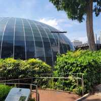Fort Canning Park