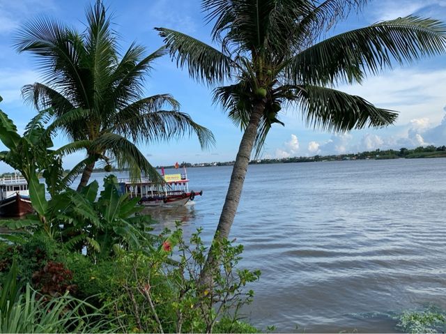 Greenery at Bel Marina Hoi An