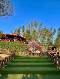 เหลียงซาน Liangshan Coffee Khaokho #เพชรบูรณ์