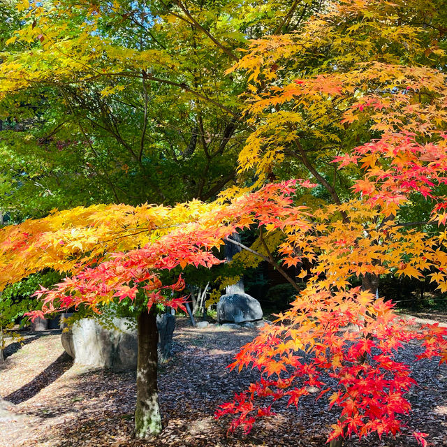 【長野県/紅葉が美しい🍁”出早雄小萩神社”と”出早公園”】