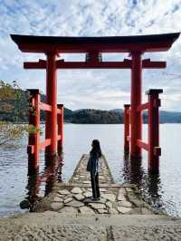 東京近郊🍀秋天箱根2日1夜行程規劃 2023