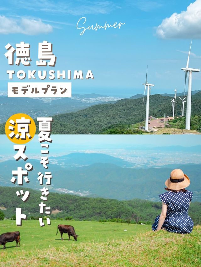 【徳島】涼スポット！夏でも涼しい避暑地が徳島に！？山々を見渡せる絶景で涼もう～🎐🩵