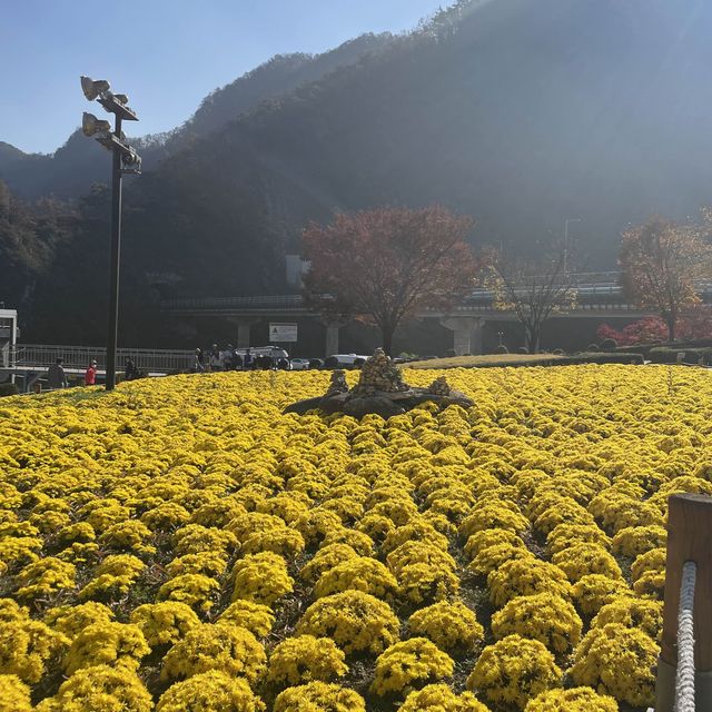 Dayang in Autumn that felt like spring 