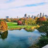 Autumn foliage at Central Park