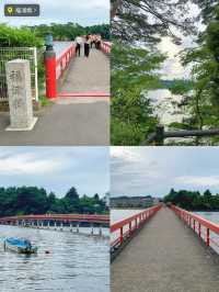 1泊2日で行く🚄💭絶景からグルメまで欲張り仙台旅行プラン😍🧡【宮城県】