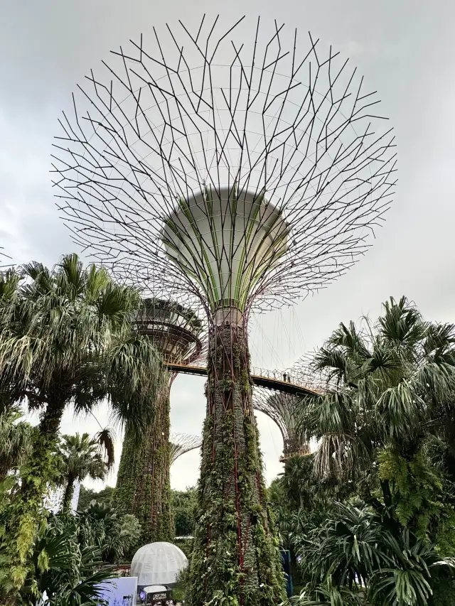 Gardens by the Bay!