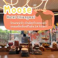 Moose hotel Chiangmai 🫎 ขนมฟรีมีไม่อั้น!!