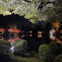 【石川県・金沢市】タイミング合えば最高の夜景スポット