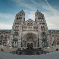 Natural History Museum 🇬🇧