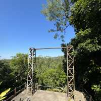 Luwak Coffee Plantation in Bali | Tampaksiring