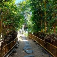 เที่ยวคาเฟ่แนวญี่ปุ่นที่สวนผึ้ง ราชบุรี
