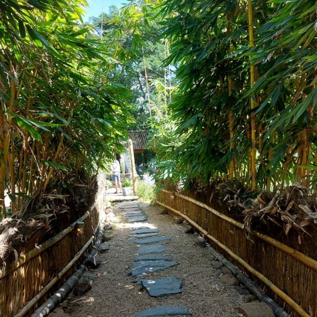 เที่ยวคาเฟ่แนวญี่ปุ่นที่สวนผึ้ง ราชบุรี