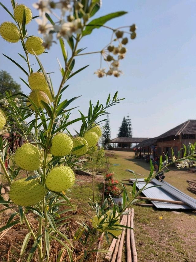 บ้านสันติชล, ปาย, แม่ฮ่องสอน
