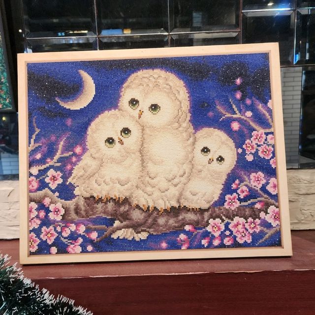 owl's stage