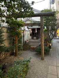 鎌倉を代表する銘菓鳩サブレーの豊島屋本店